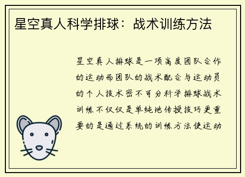 星空真人科学排球：战术训练方法